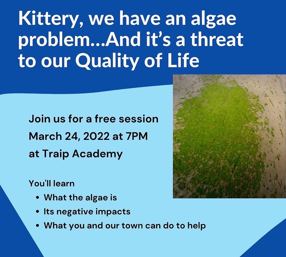 Save Kittery Waters Algae Event