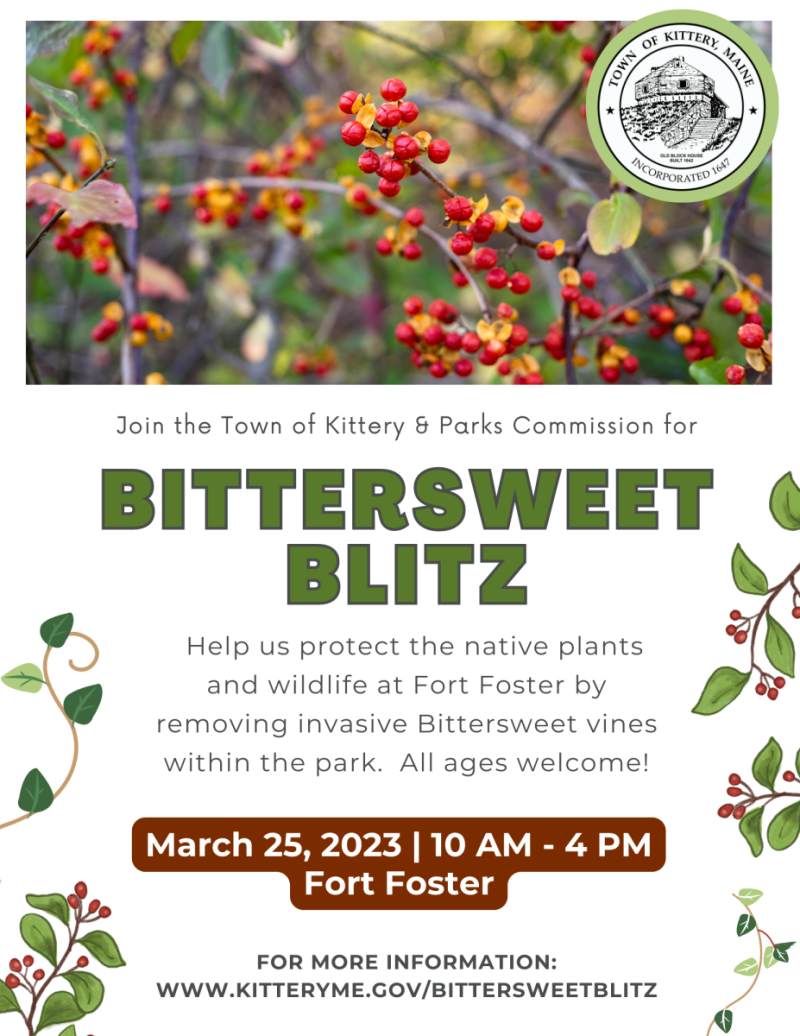 Bittersweet Blitz is an invasive plant management event at Fort Foster on March 25, 2023