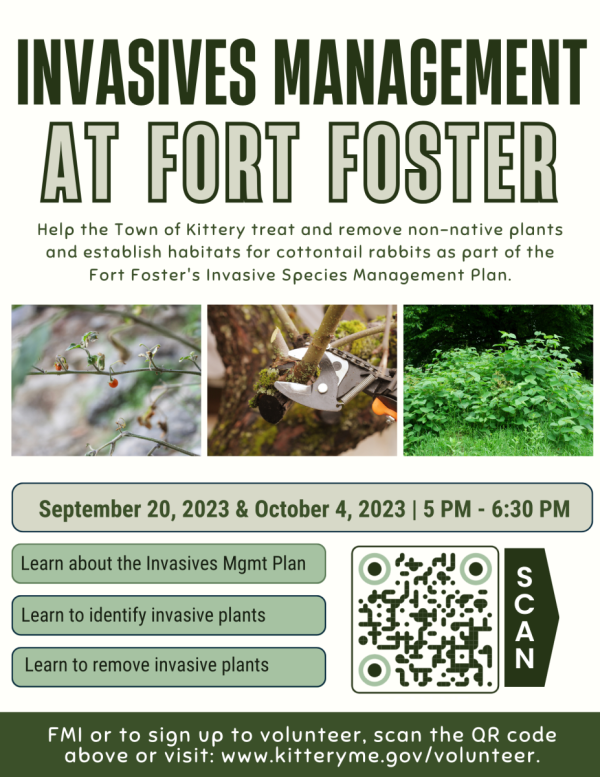 Flyer with images of invasive plants and call for volunteers at Fort Foster in Kittery