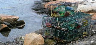 Kittery Lobster Trap Cleanup