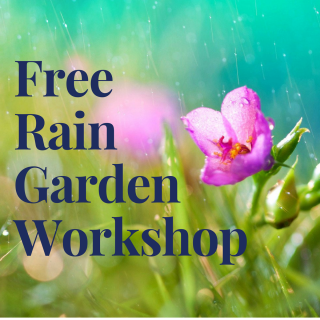 Free Rain Garden Workshop Kittery