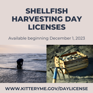 Image of Shellfish Harvesting with text: Shellfish Harvesting Day Licenses