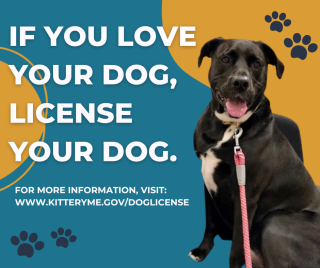 Dog License Renewal Kittery
