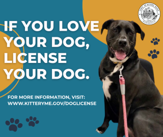Image of a happy, black dog with text: if you love your dog, license your dog