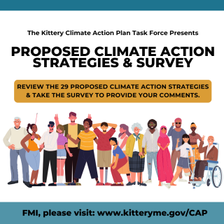 Illustration of diverse group of people with text: proposed climate action strategies and survey