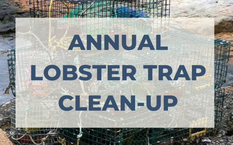 Kittery Lobster Trap Clean-Up