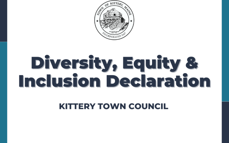 DEI Declaration Town Council