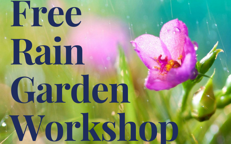 Free Rain Garden Workshop Kittery